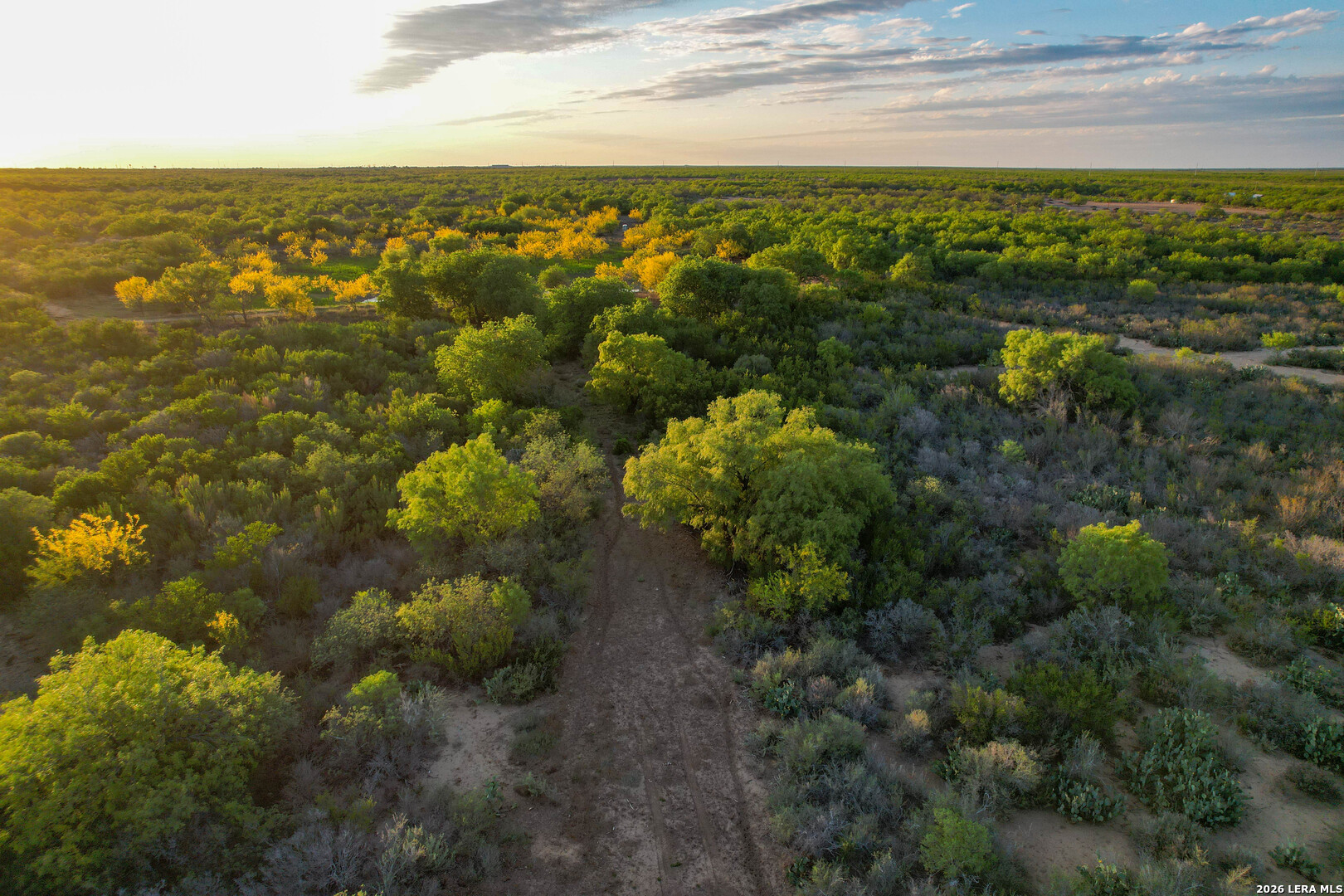 3472 Wilson Road Carrizo Springs, TX 78834 - Photo 40 of 75