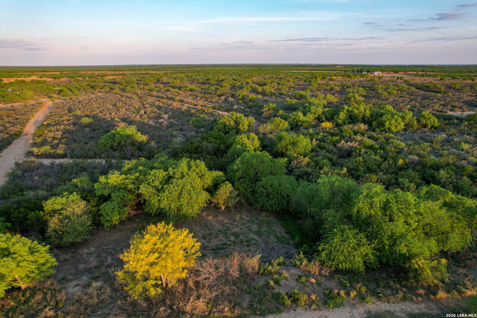 3472 Wilson Road Carrizo Springs, TX 78834 - Photo 44 of 75