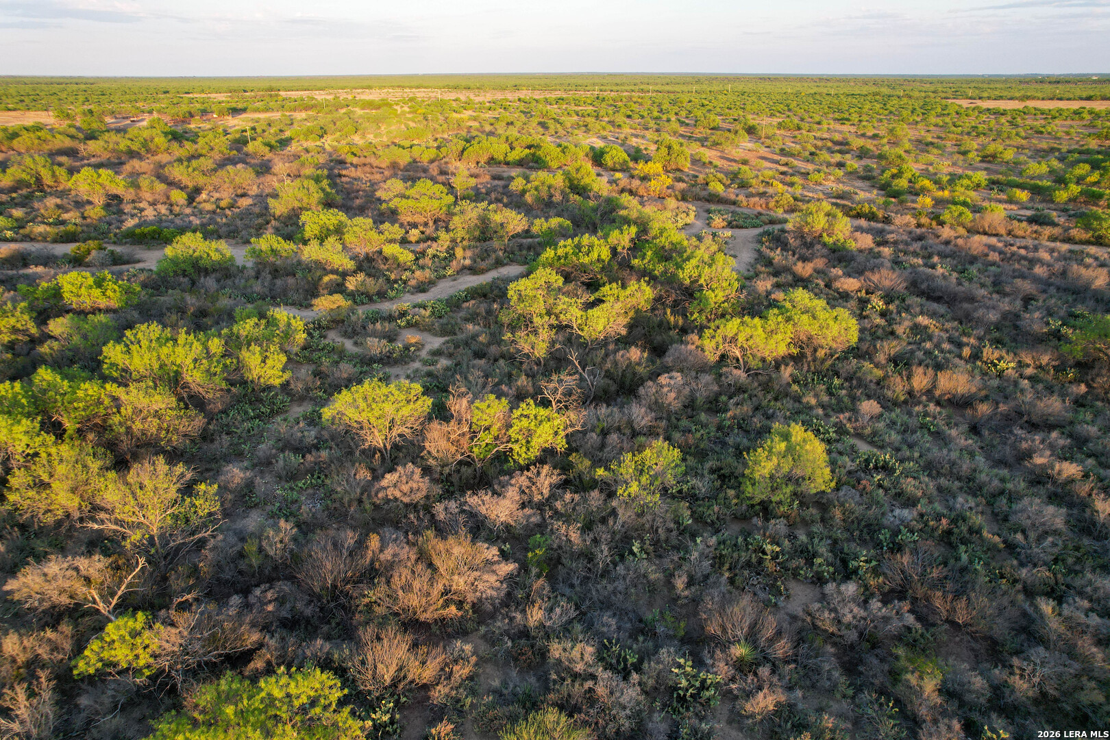 3472 Wilson Road Carrizo Springs, TX 78834 - Photo 45 of 75