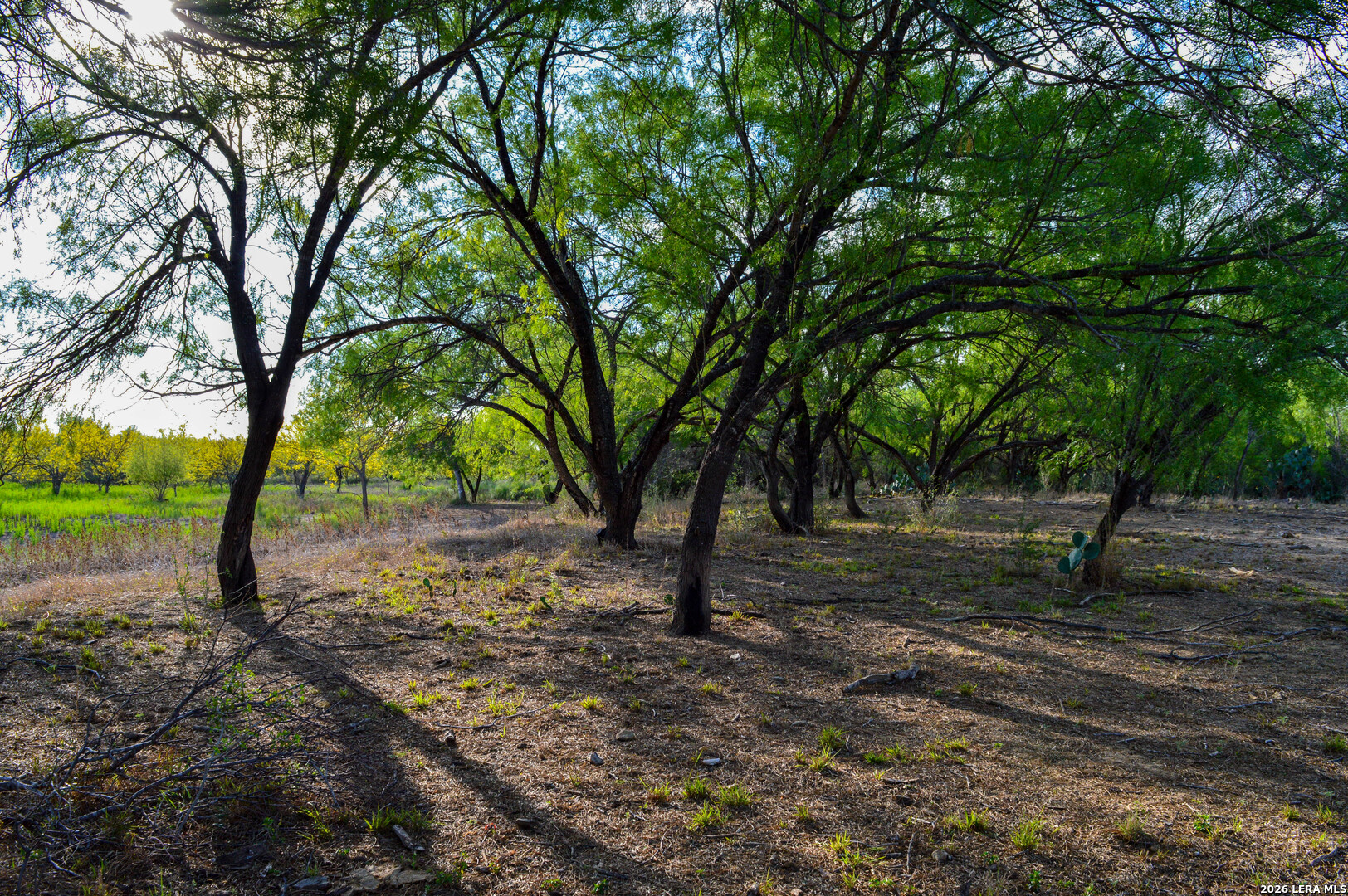 3472 Wilson Road Carrizo Springs, TX 78834 - Photo 53 of 75