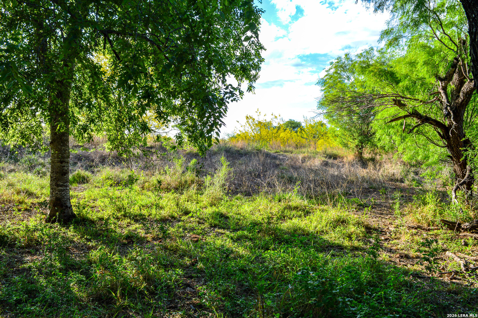 3472 Wilson Road Carrizo Springs, TX 78834 - Photo 55 of 75
