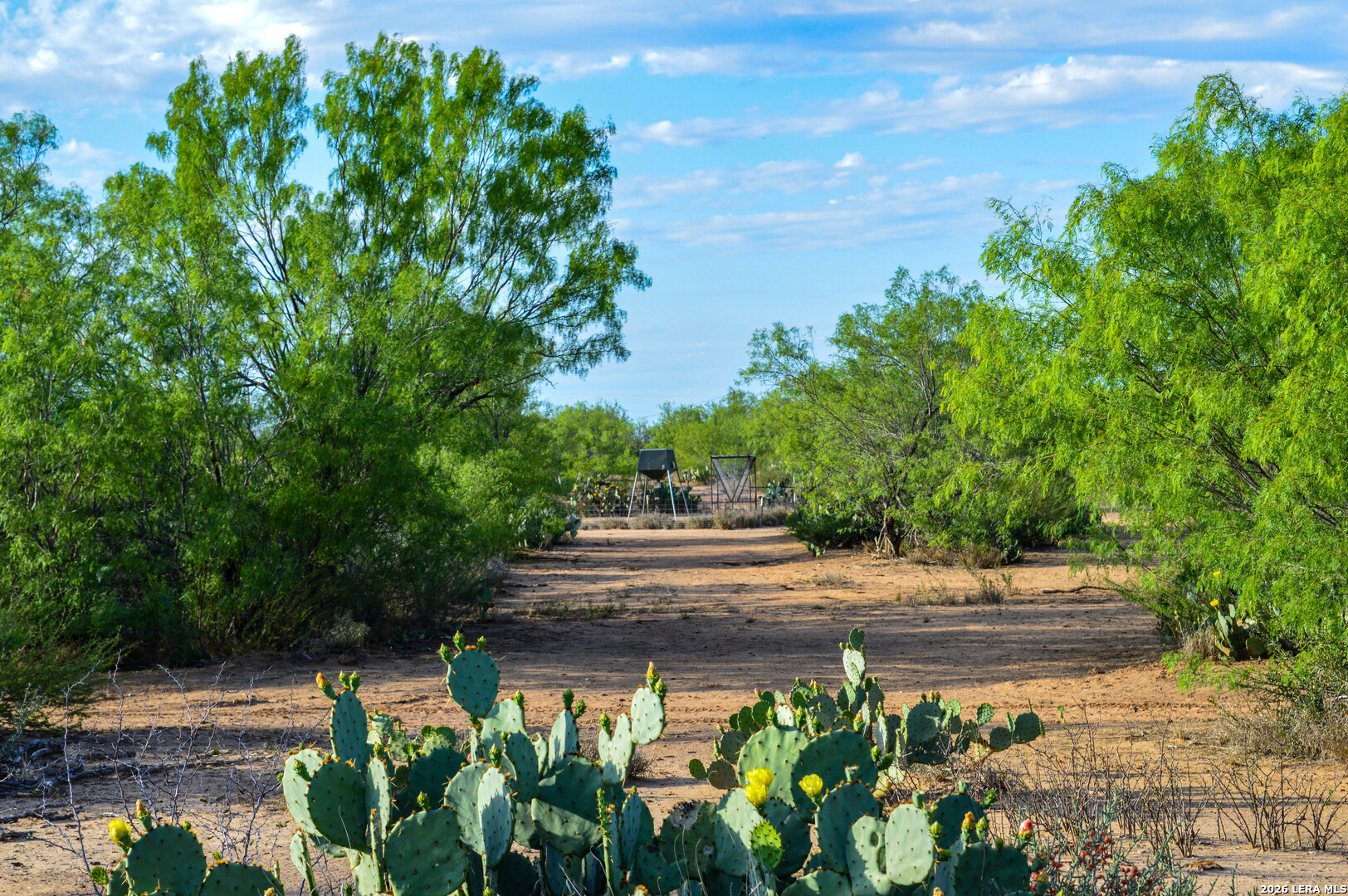 3472 Wilson Road Carrizo Springs, TX 78834 - Photo 57 of 75