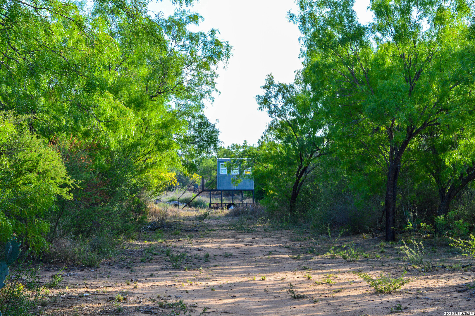 3472 Wilson Road Carrizo Springs, TX 78834 - Photo 58 of 75