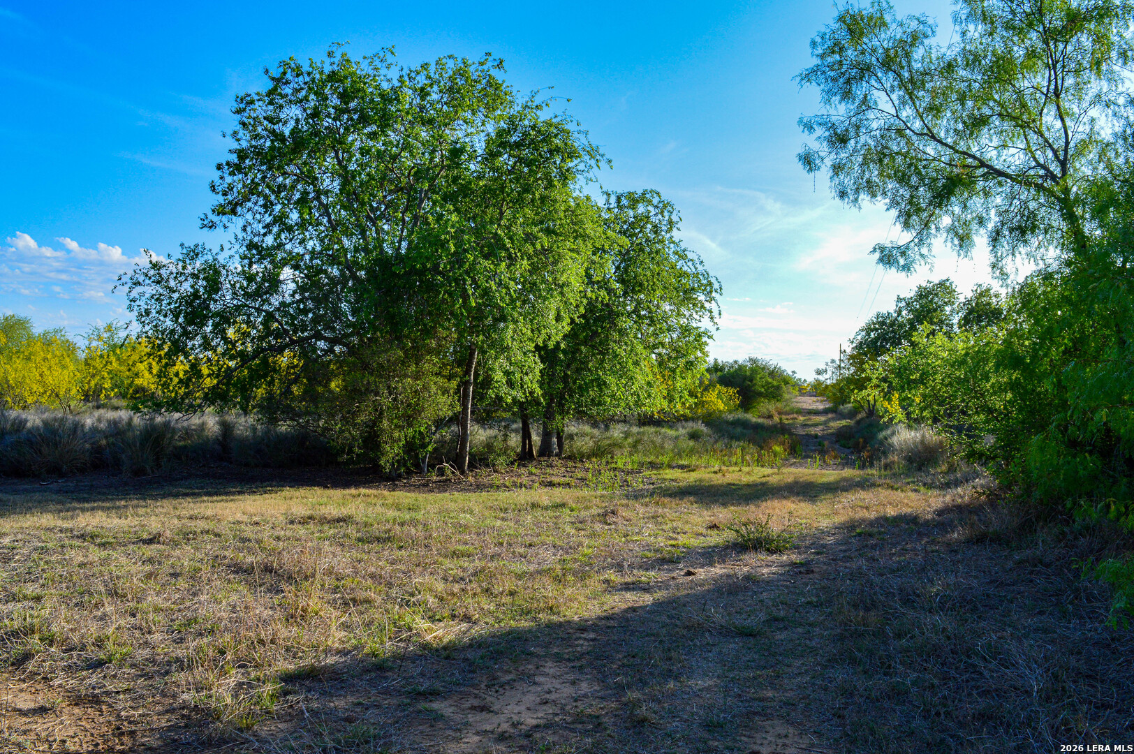 3472 Wilson Road Carrizo Springs, TX 78834 - Photo 59 of 75
