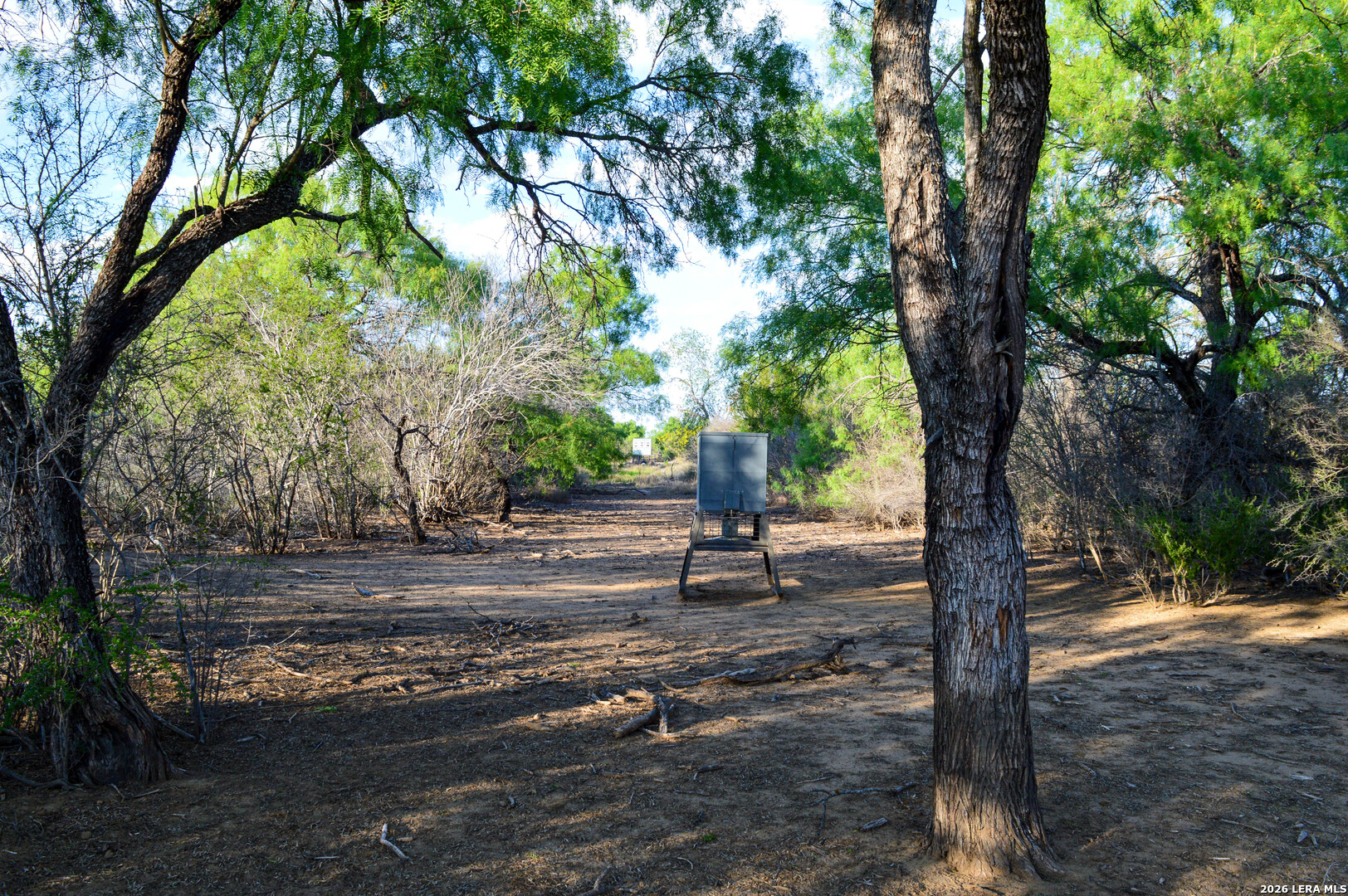 3472 Wilson Road Carrizo Springs, TX 78834 - Photo 60 of 75
