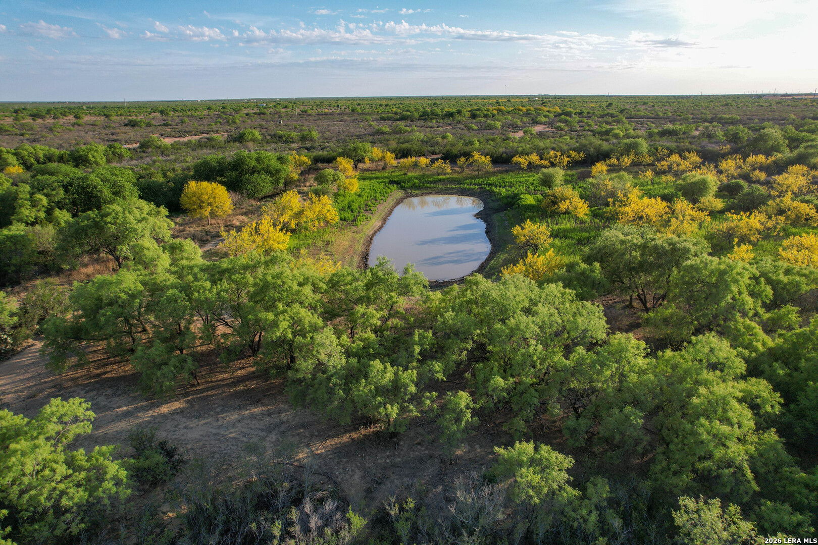 3472 Wilson Road Carrizo Springs, TX 78834 - Photo 6 of 75