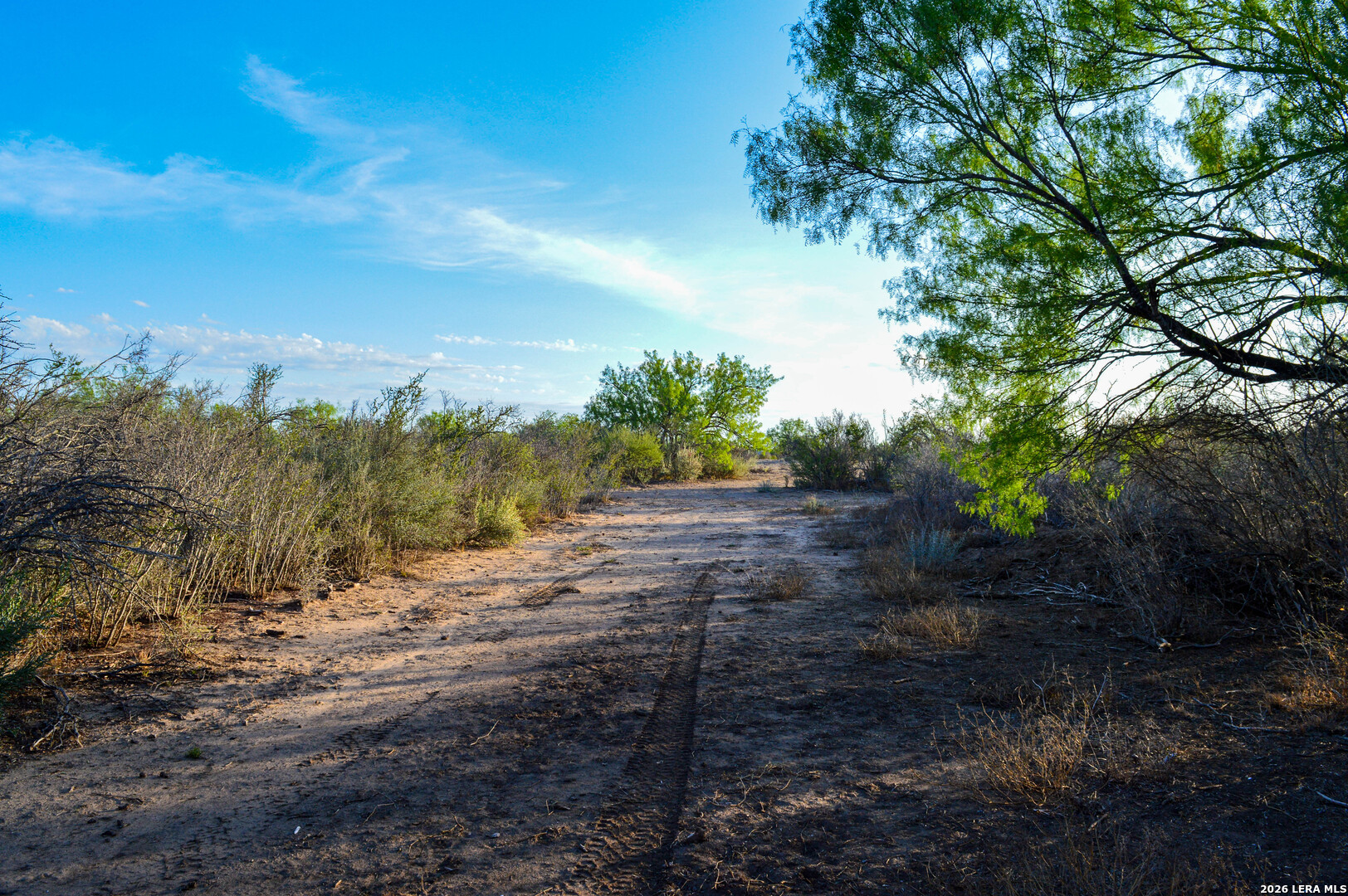 3472 Wilson Road Carrizo Springs, TX 78834 - Photo 61 of 75