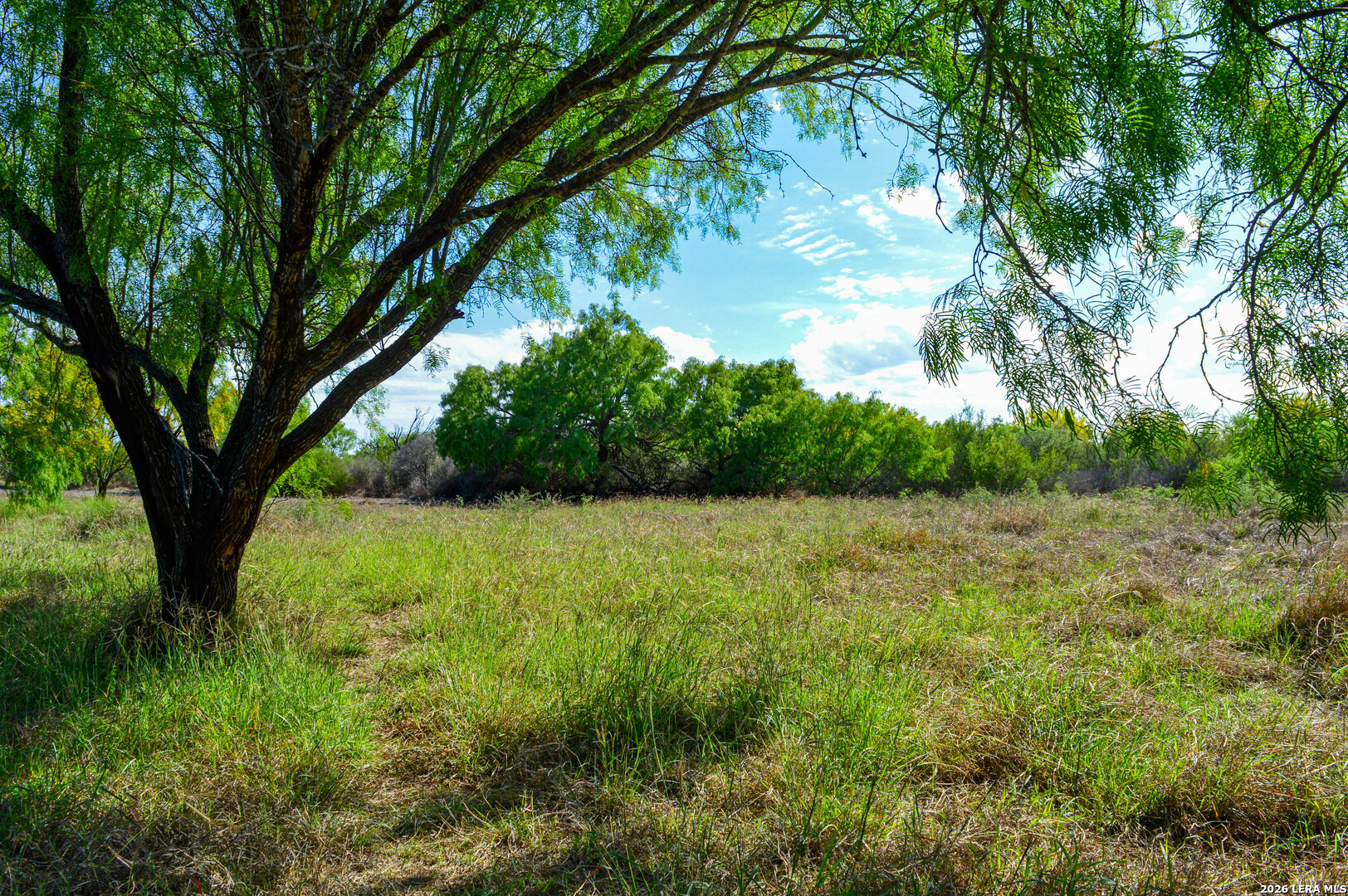 3472 Wilson Road Carrizo Springs, TX 78834 - Photo 64 of 75