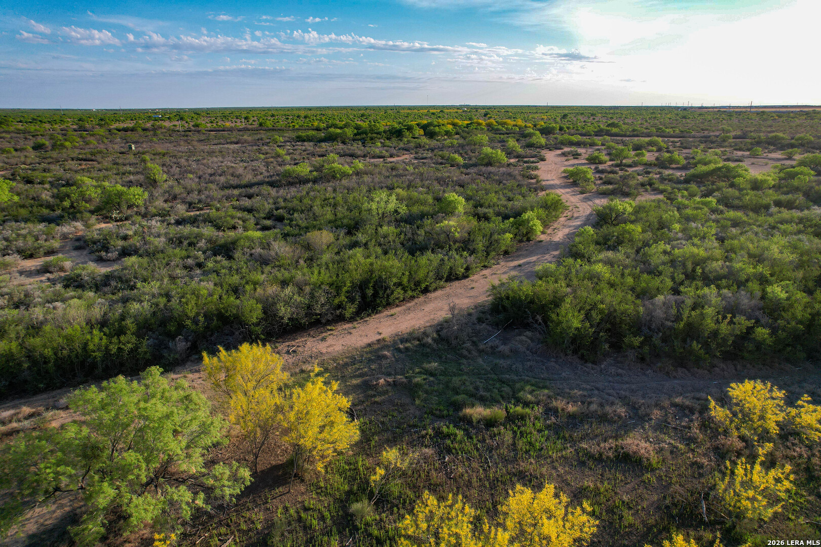 3472 Wilson Road Carrizo Springs, TX 78834 - Photo 7 of 75