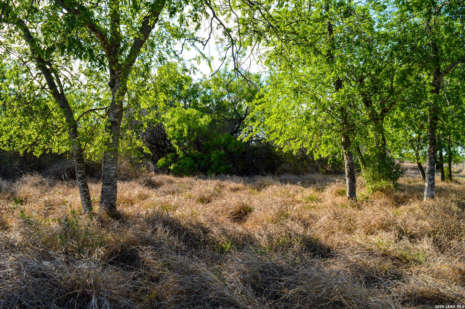 3472 Wilson Road Carrizo Springs, TX 78834 - Photo 72 of 75