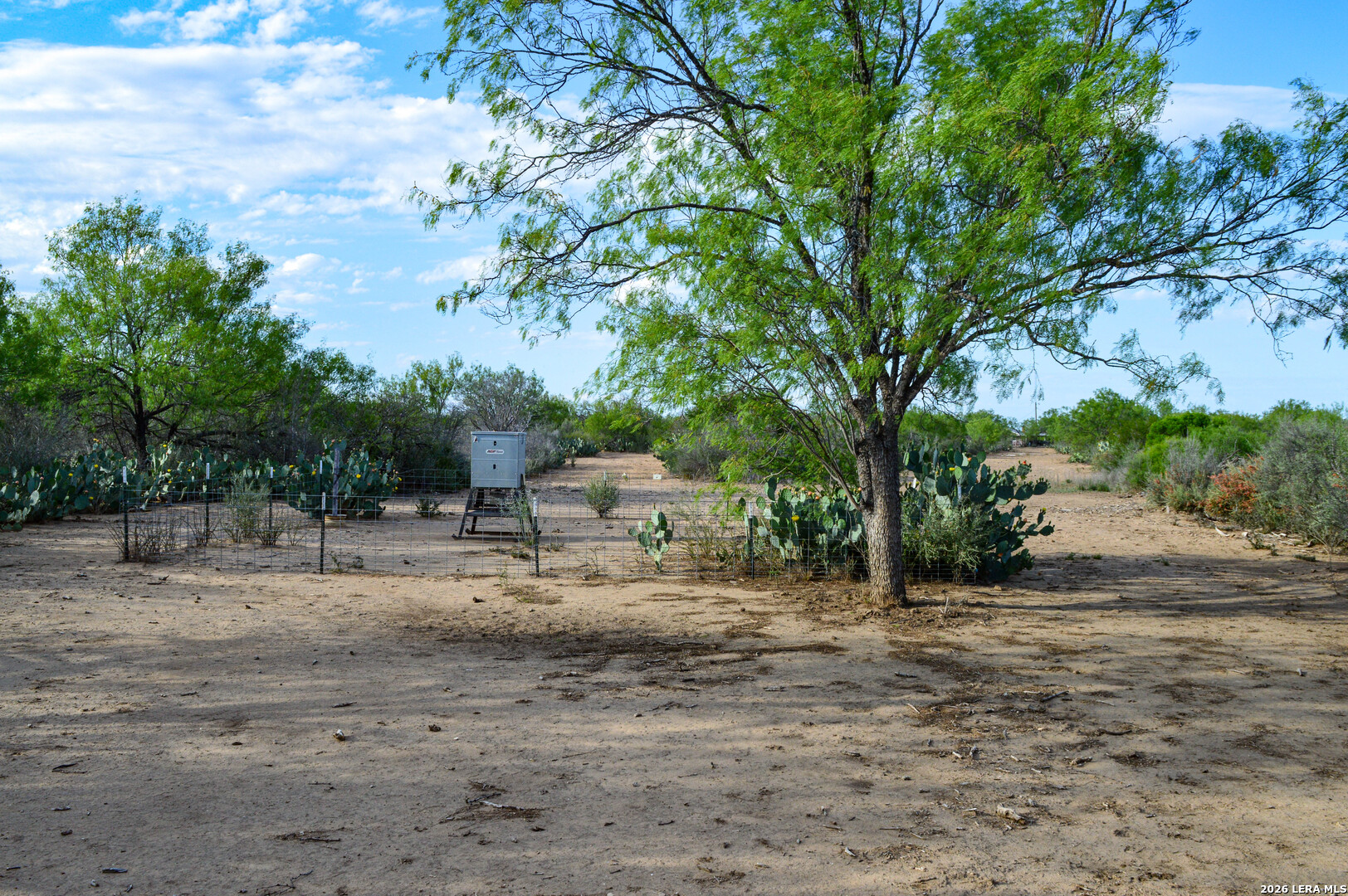 3472 Wilson Road Carrizo Springs, TX 78834 - Photo 74 of 75