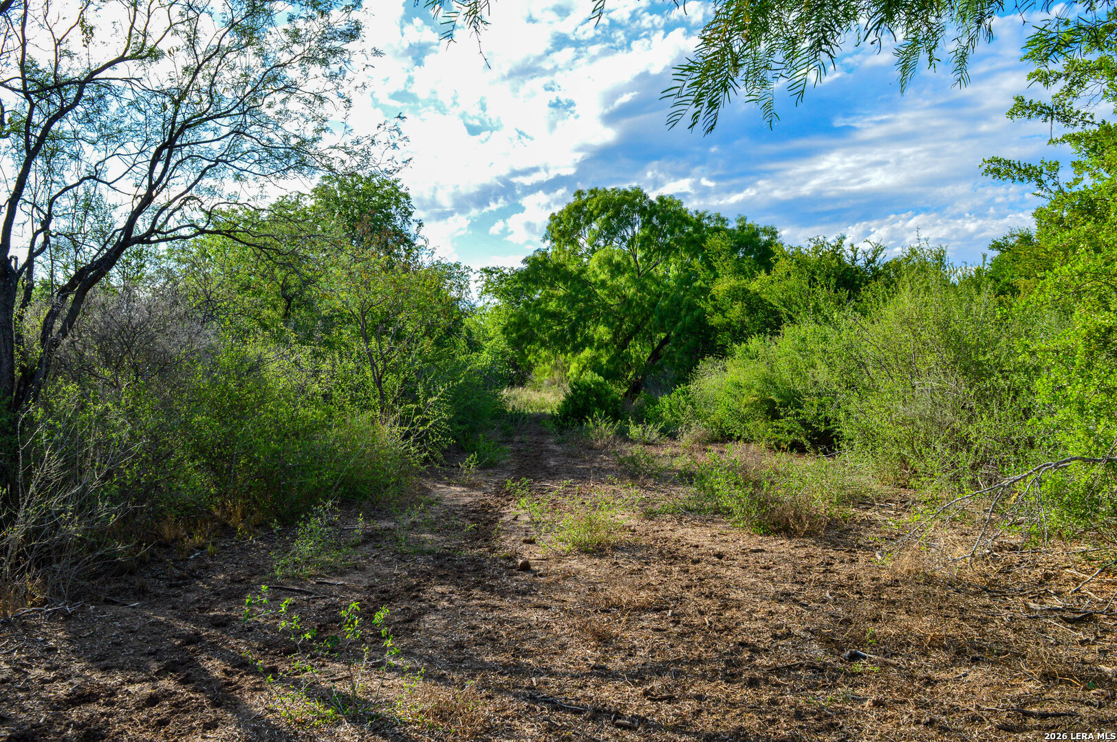 3472 Wilson Road Carrizo Springs, TX 78834 - Photo 75 of 75
