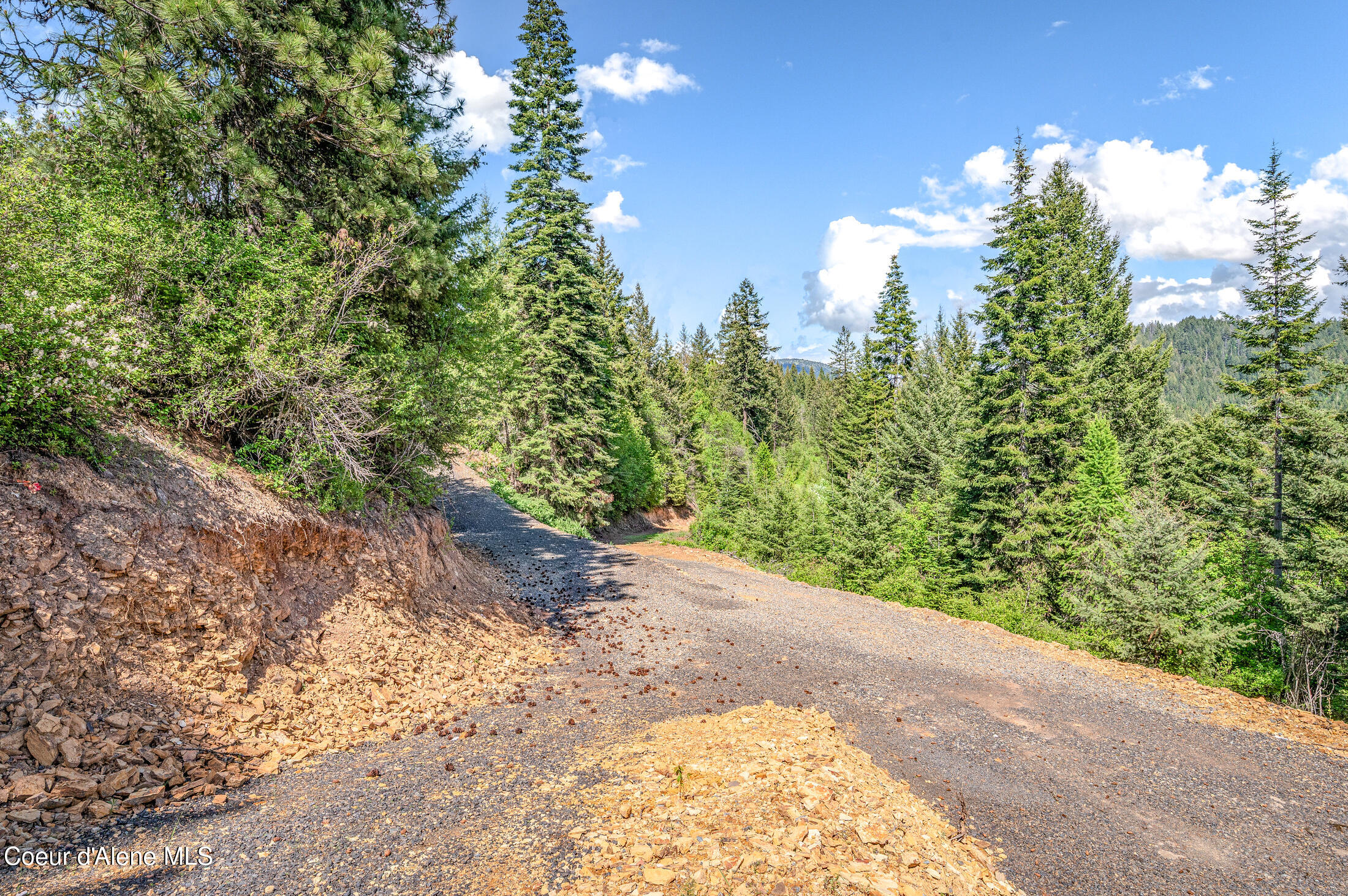 438 Ridgeview Drive St. Maries, ID 83861 - Photo 42 of 42 28