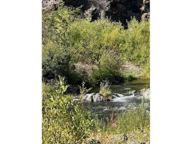 a view of a lake view
