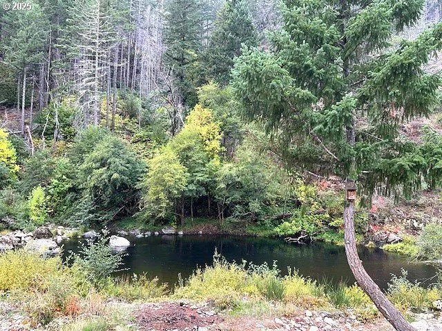 a view of a yard with a tree