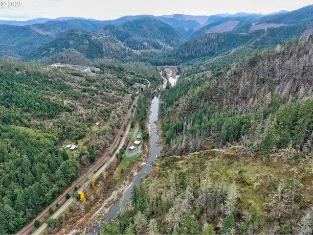 a view of a mountain with a tree in the background