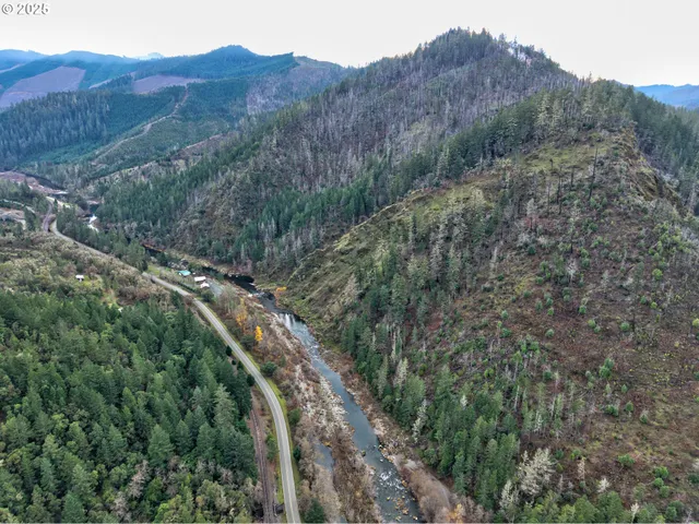 a view of a city with lush green forest