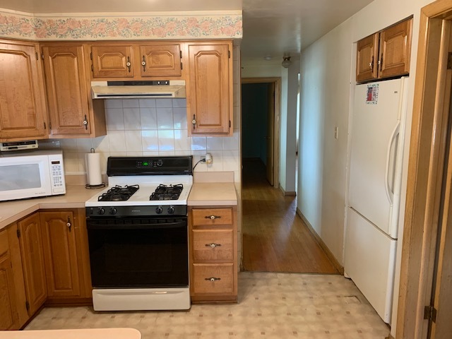 6059 West 59th Street Chicago, IL 60638 - Photo 6 of 24