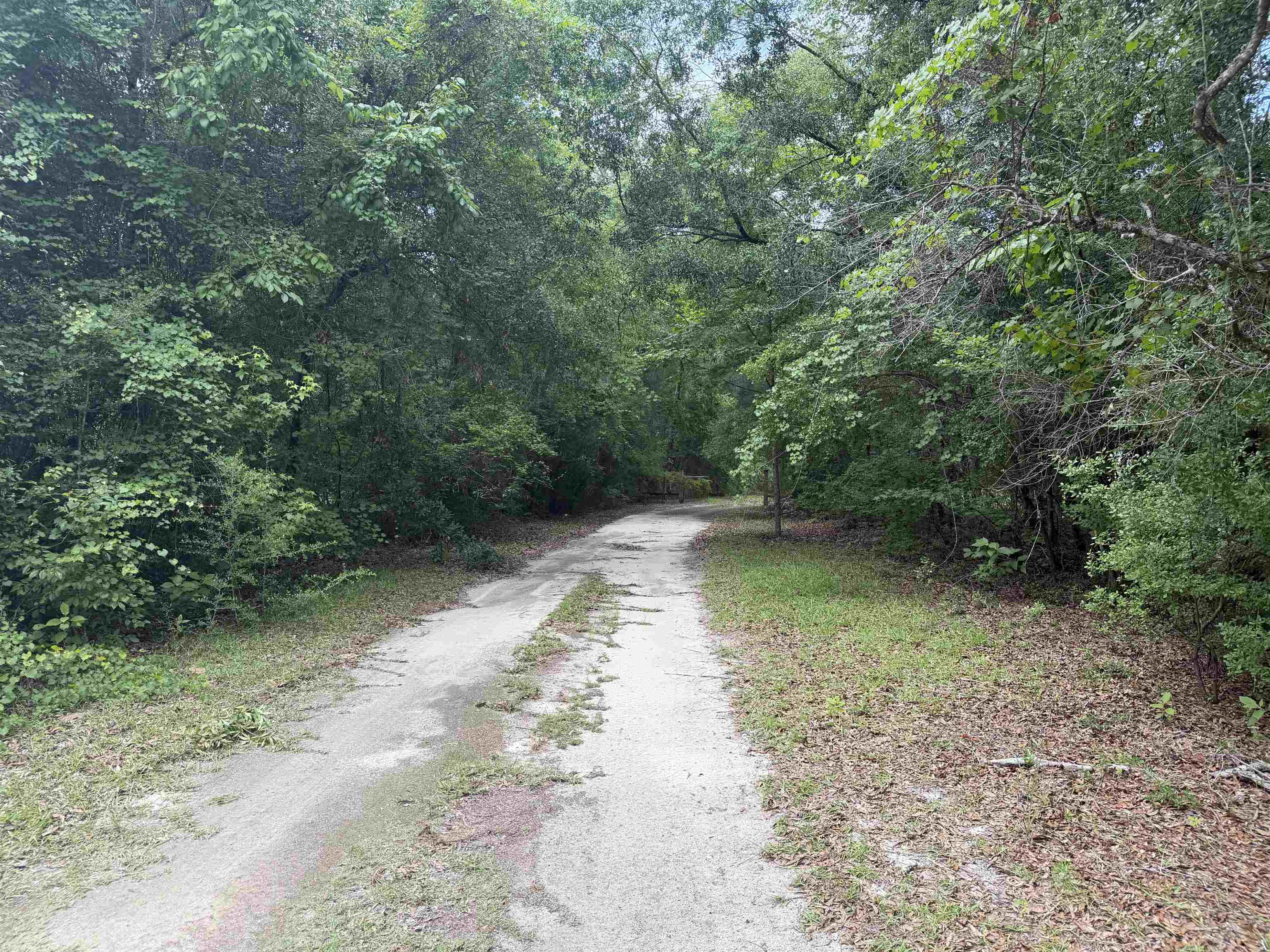 4 Sommer Road Crawfordville, FL 32327 - Photo 5 of 13