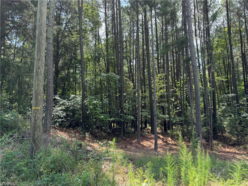 0 Epps Clark Road Siler City, NC 27344 - Photo 3 of 3