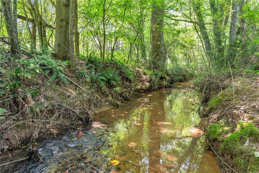 305 Mountain Brook Road Dawsonville, GA 30534 - Photo 4 of 61