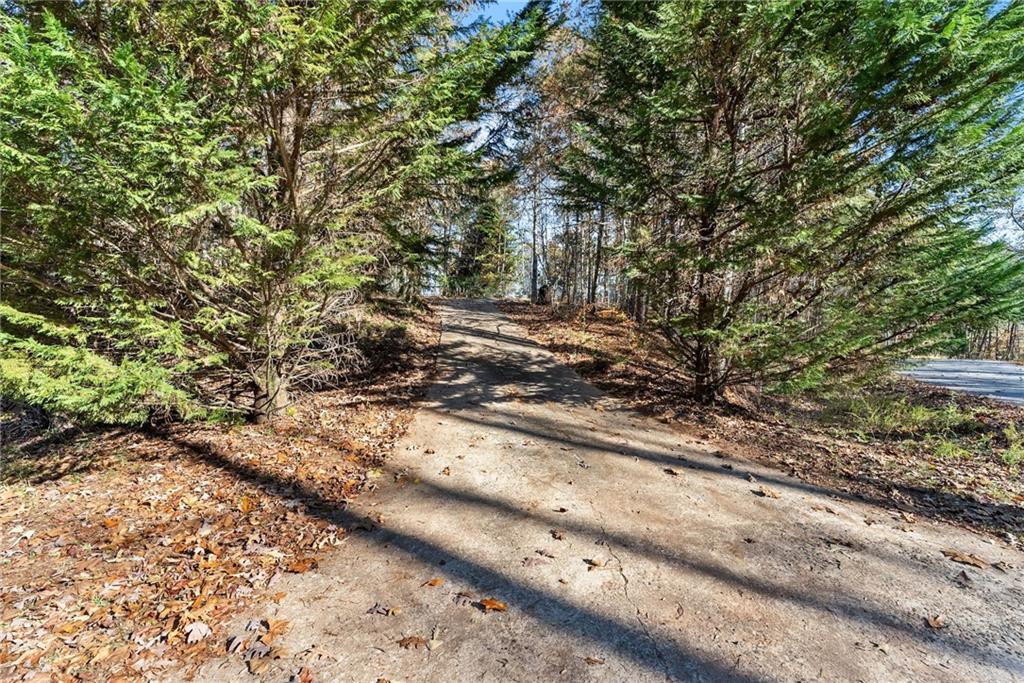 305 Mountain Brook Road Dawsonville, GA 30534 - Photo 5 of 61