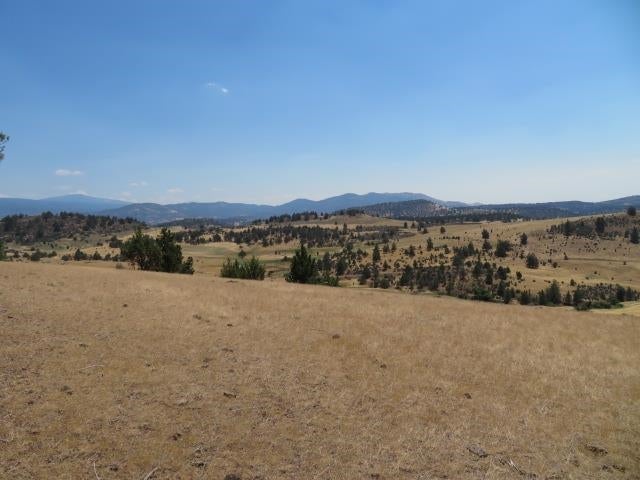 Lot 185 Iron Gate Road Hornbrook, CA 96044 - Photo 1 of 8 Gallery Image 1
