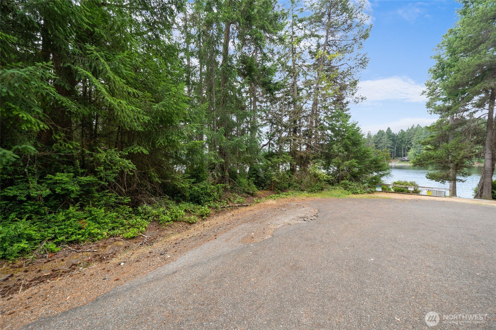 10718 Trout Place West Anderson Island, WA 98303 - Photo 8 of 28