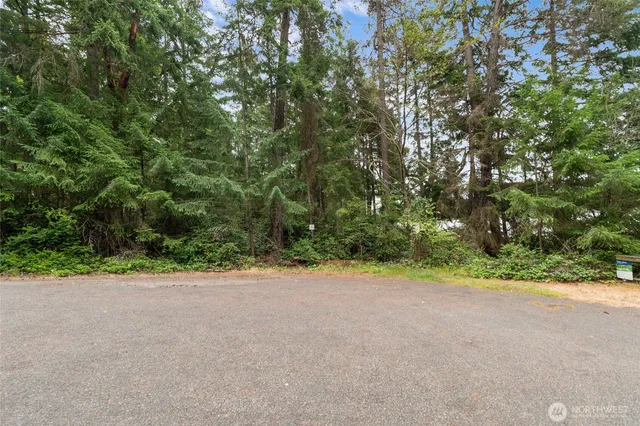 $250,000 | 10718 Trout Place West, Anderson Island, WA 98303