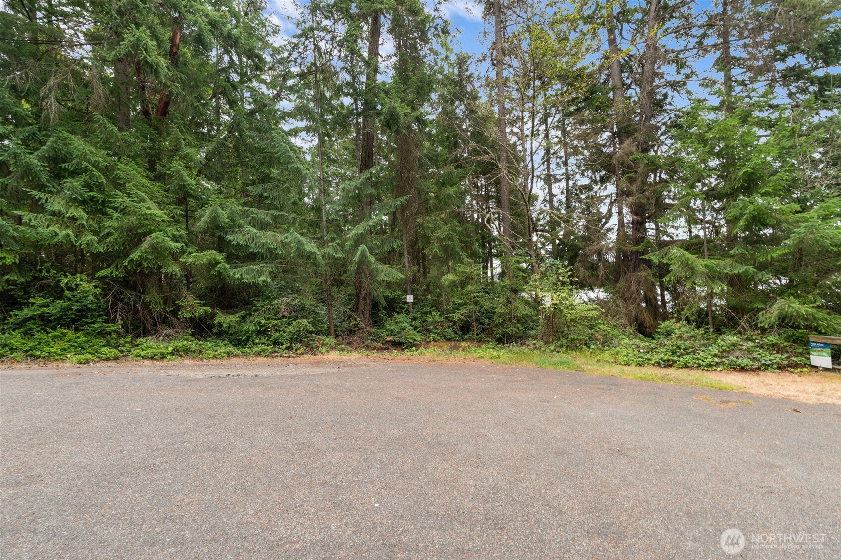 10718 Trout Place West Anderson Island, WA 98303 - Photo 10 of 28