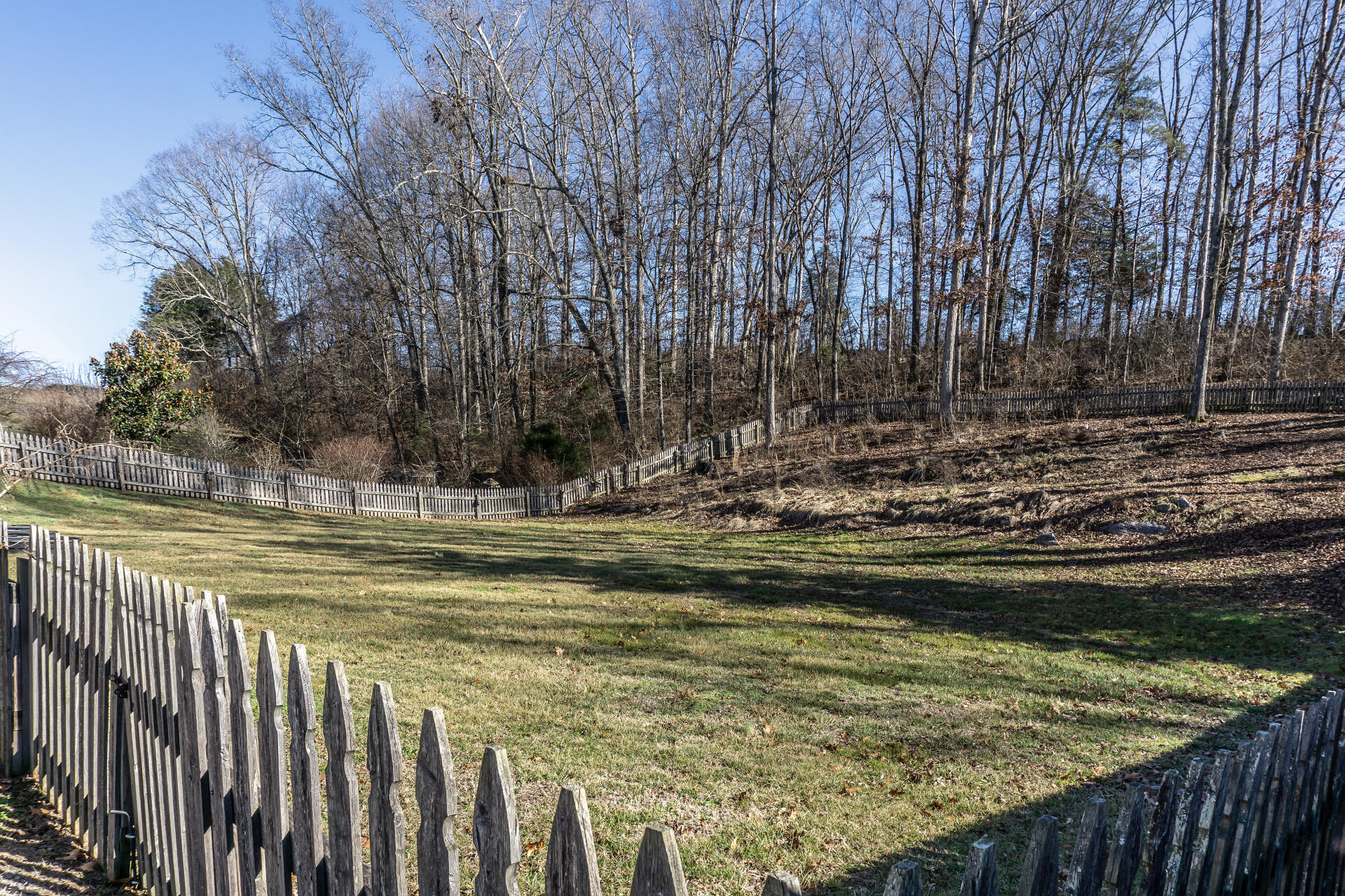 148 Whispering Ridges Road Greeneville, TN 37743 - Photo 8 of 44 WhisperingRidgeG_065