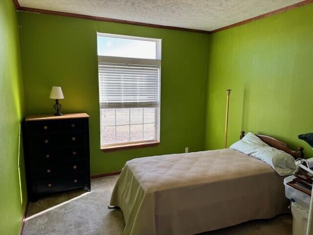 22 Pioneer Road Buffalo, WY 82834 - Photo 13 of 18 12