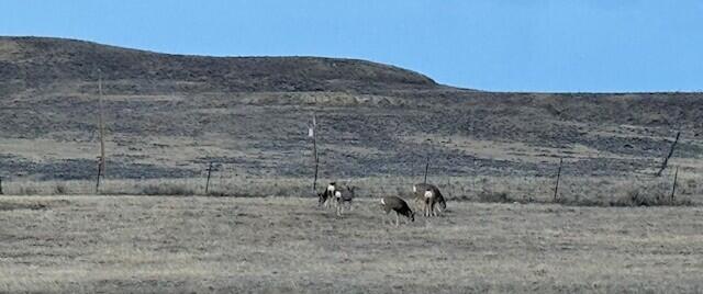 22 Pioneer Road Buffalo, WY 82834 - Photo 17 of 18 20