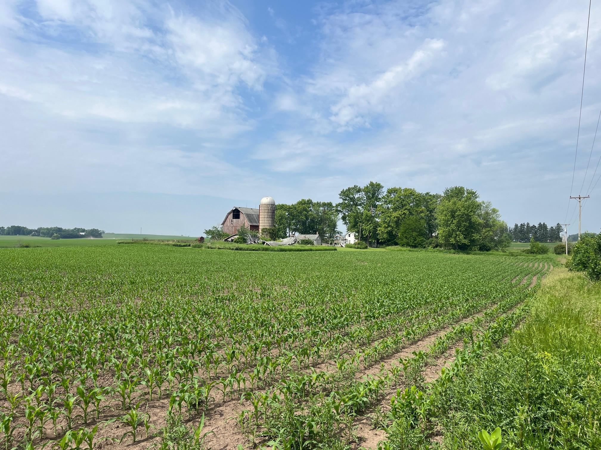 4923 Meek Road Arlington, WI 53911 - Photo 12 of 48