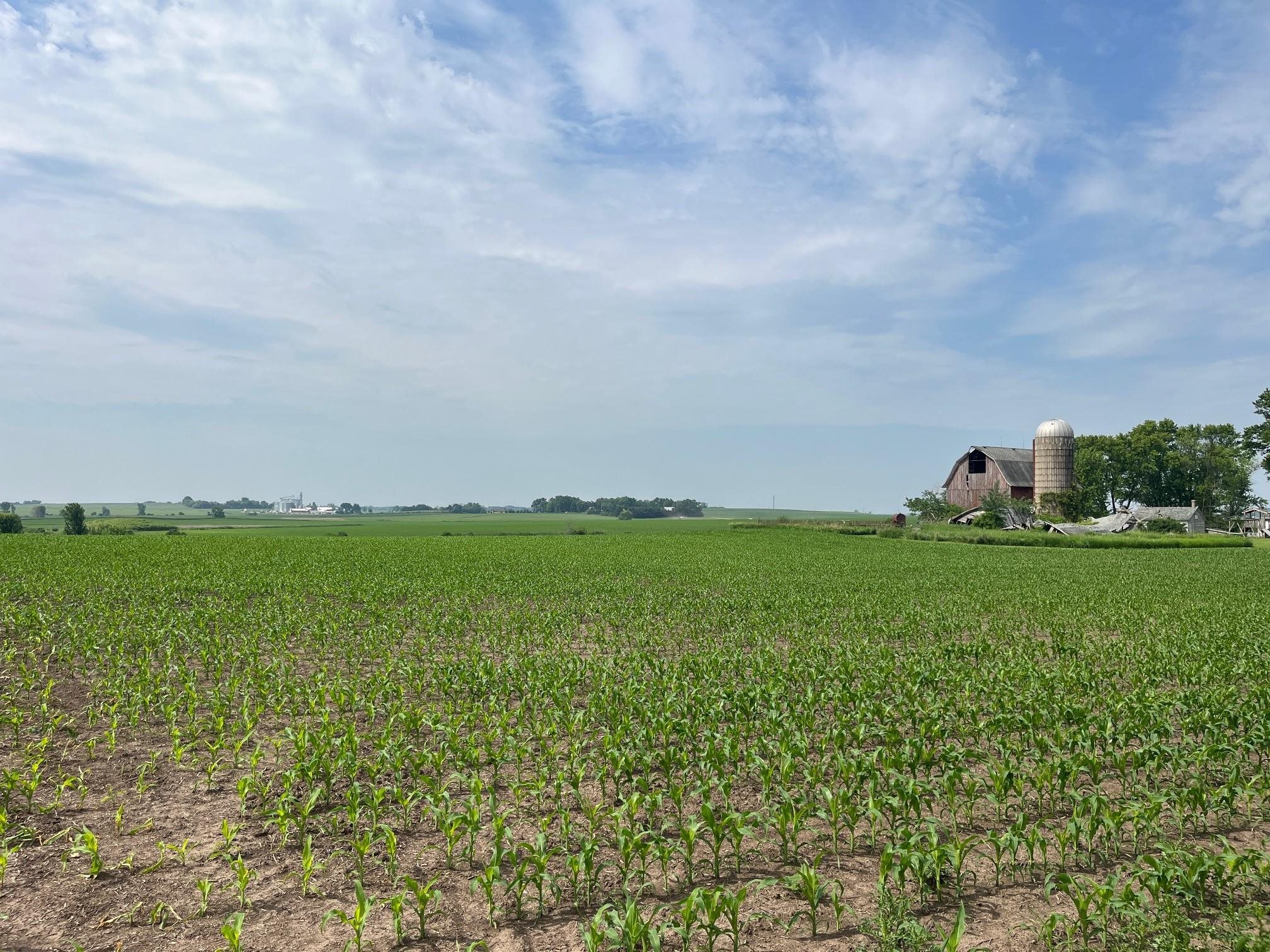 4923 Meek Road Arlington, WI 53911 - Photo 13 of 48