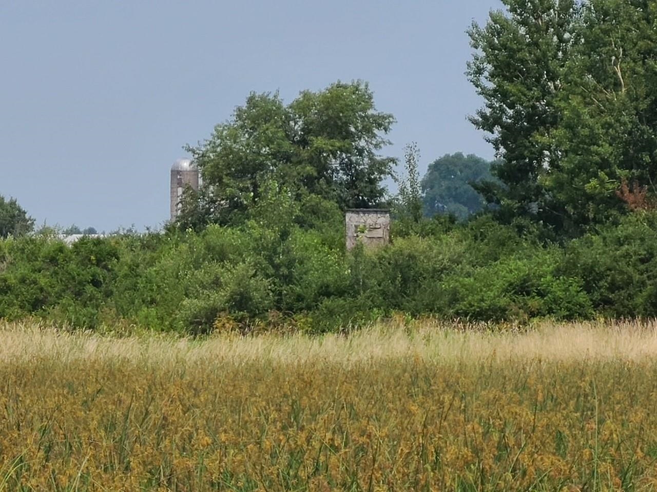 4923 Meek Road Arlington, WI 53911 - Photo 38 of 48