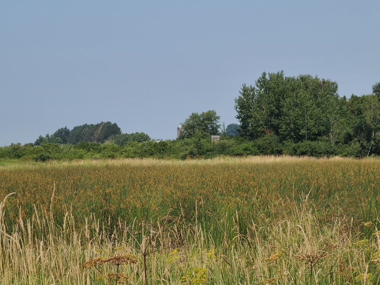 4923 Meek Road Arlington, WI 53911 - Photo 39 of 48