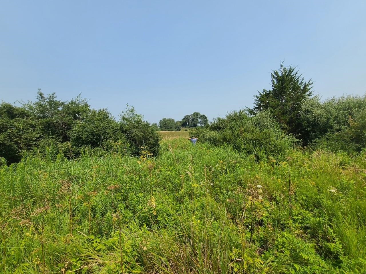 4923 Meek Road Arlington, WI 53911 - Photo 40 of 48