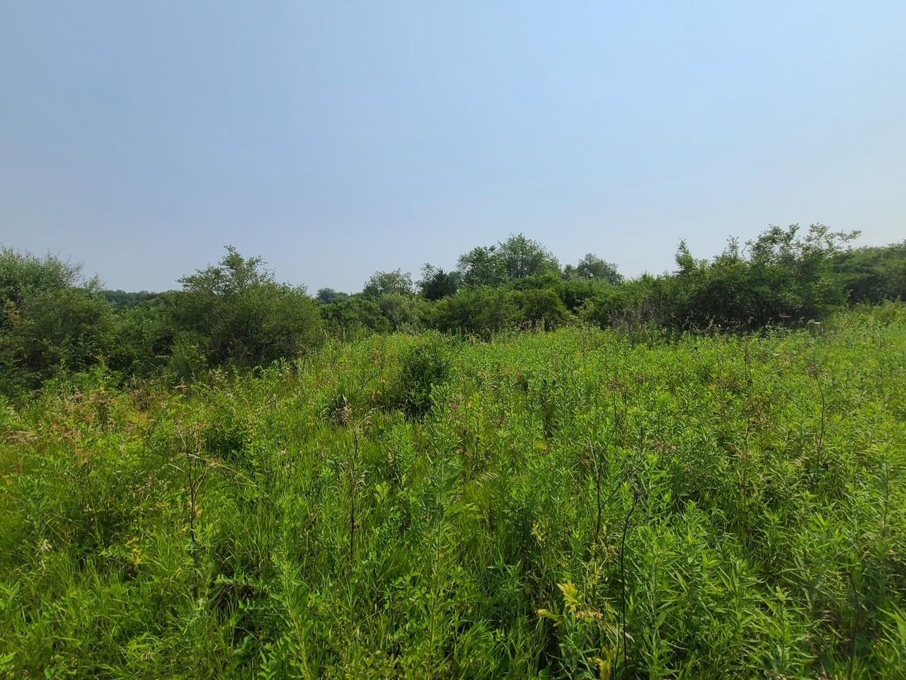 4923 Meek Road Arlington, WI 53911 - Photo 41 of 48