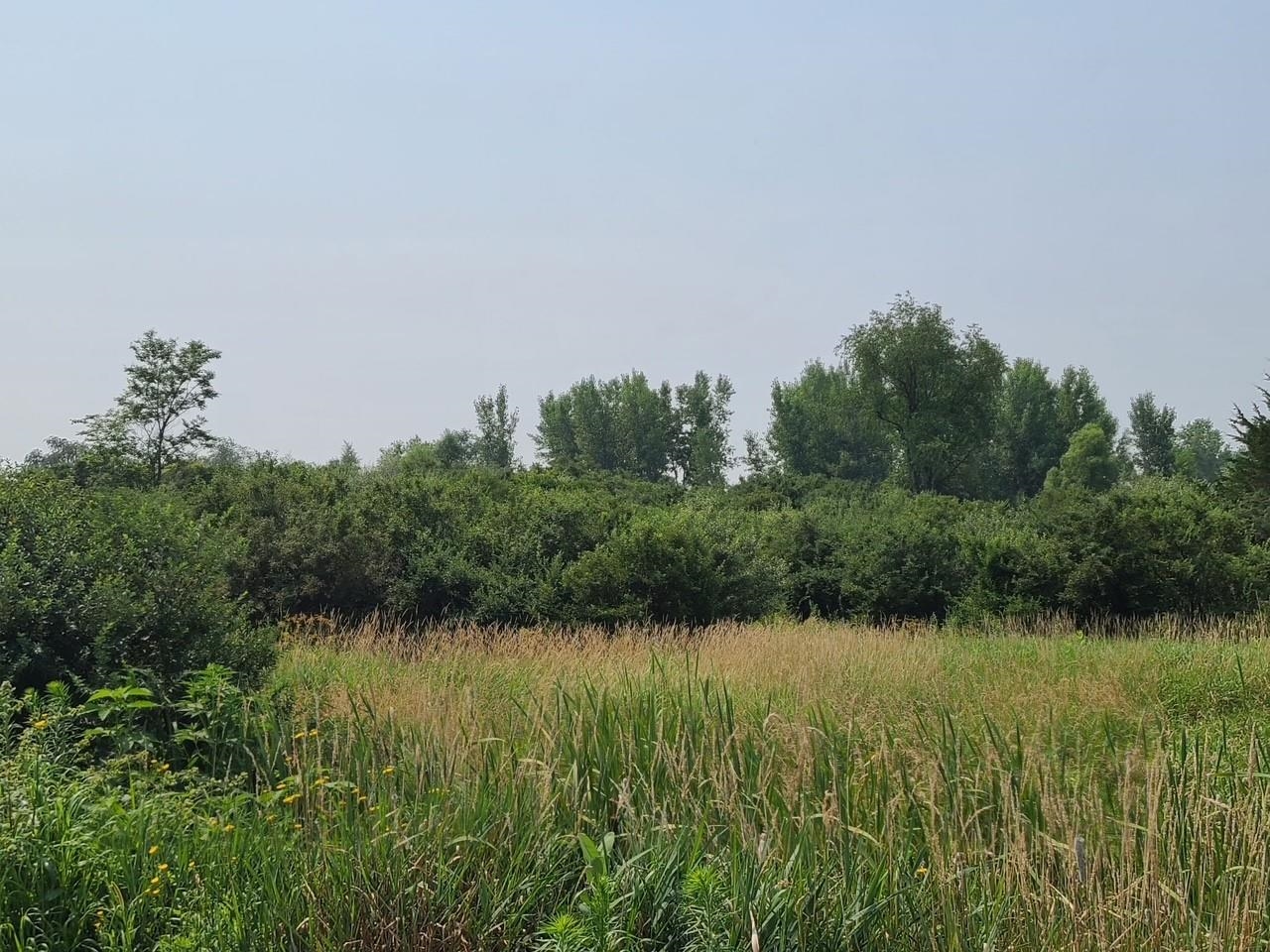 4923 Meek Road Arlington, WI 53911 - Photo 42 of 48