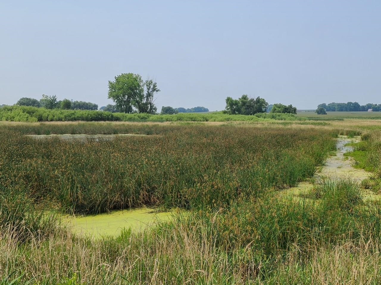 4923 Meek Road Arlington, WI 53911 - Photo 43 of 48