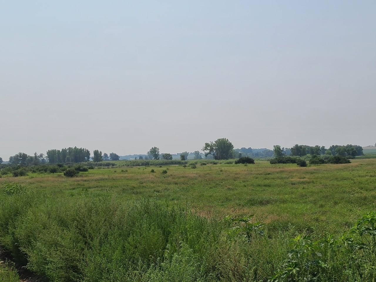 4923 Meek Road Arlington, WI 53911 - Photo 44 of 48