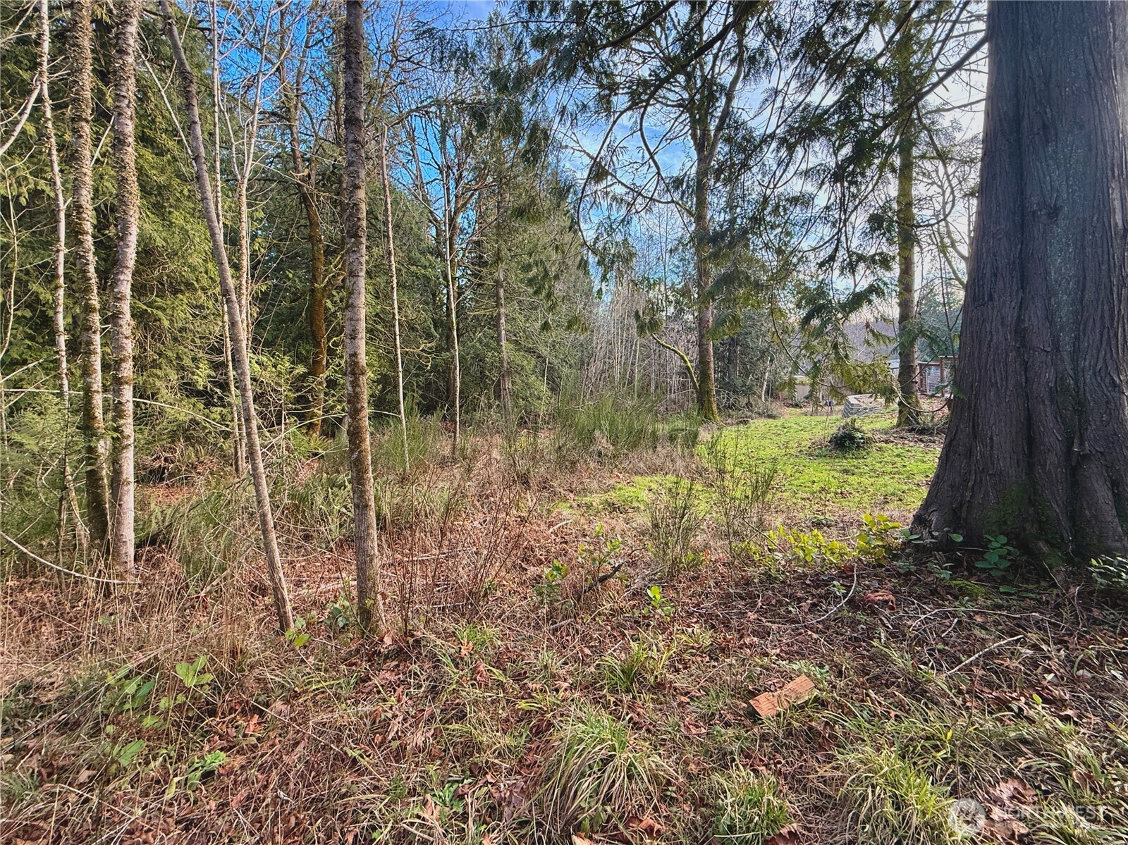 680 Highway 302 Allyn, WA 98524 - Photo 16 of 34