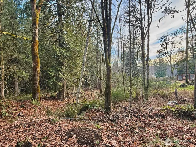 a backyard of a house with lots of green space