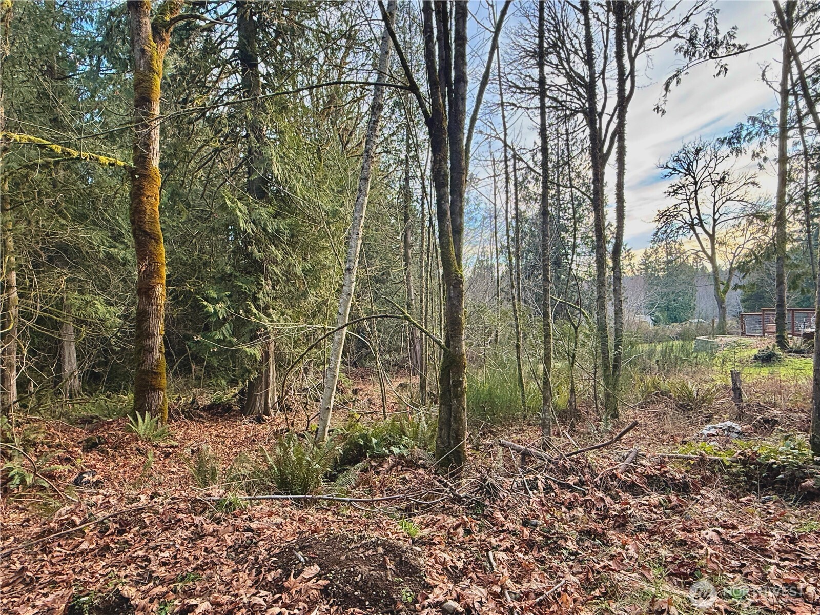 680 Highway 302 Allyn, WA 98524 - Photo 17 of 34