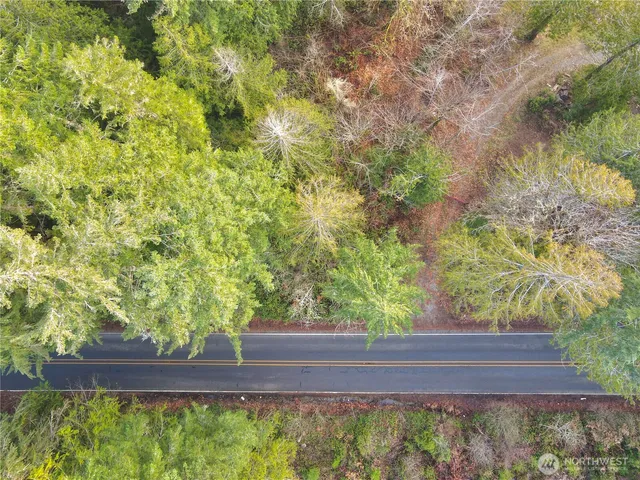 a view of a yard with wooden fence