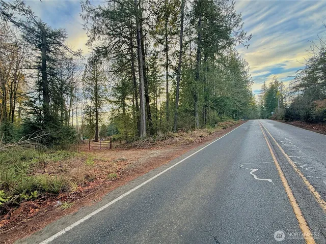 a view of a rural road with plants and large trees