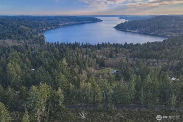 a view of a lake in middle of the forest