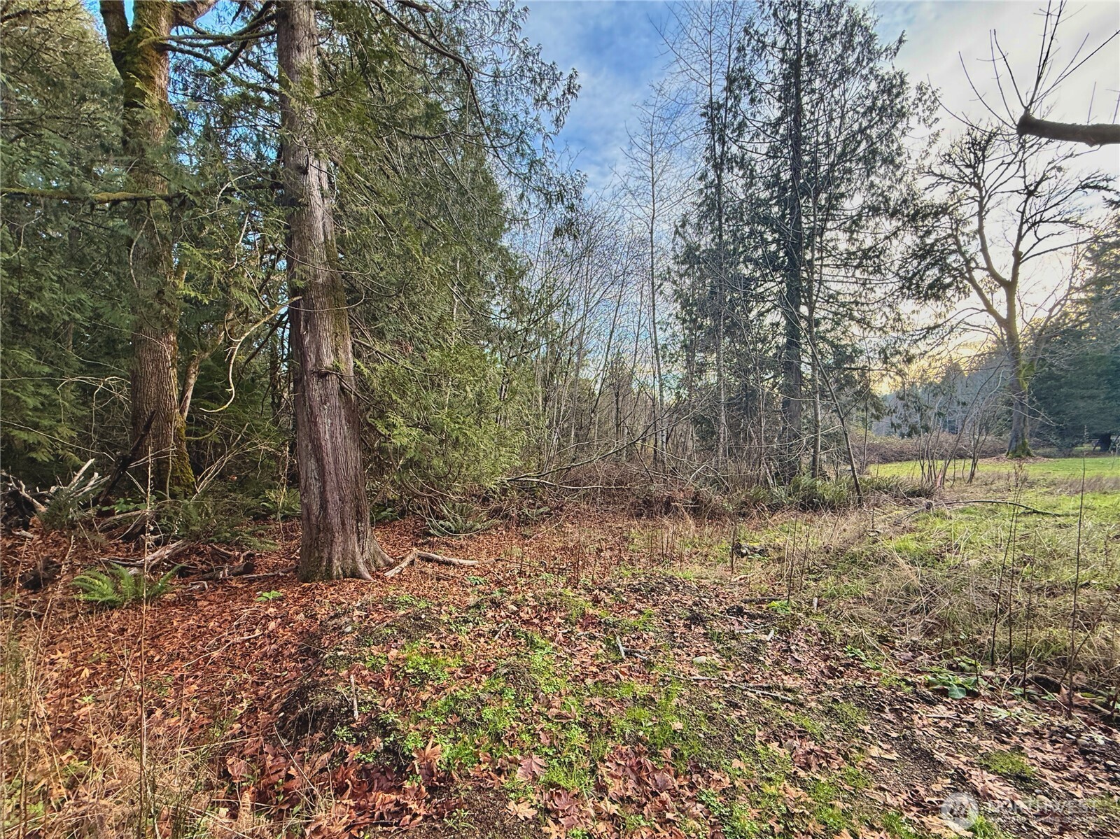 680 Highway 302 Allyn, WA 98524 - Photo 21 of 34
