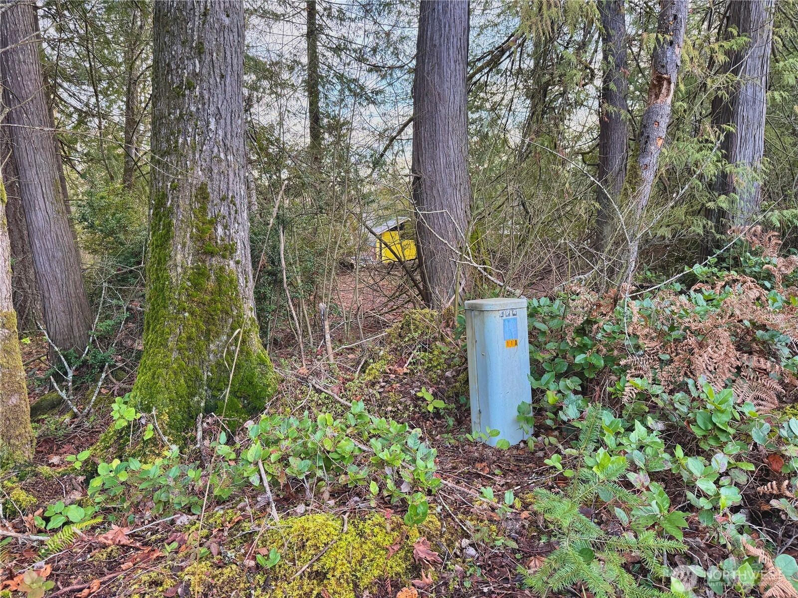 680 Highway 302 Allyn, WA 98524 - Photo 22 of 34